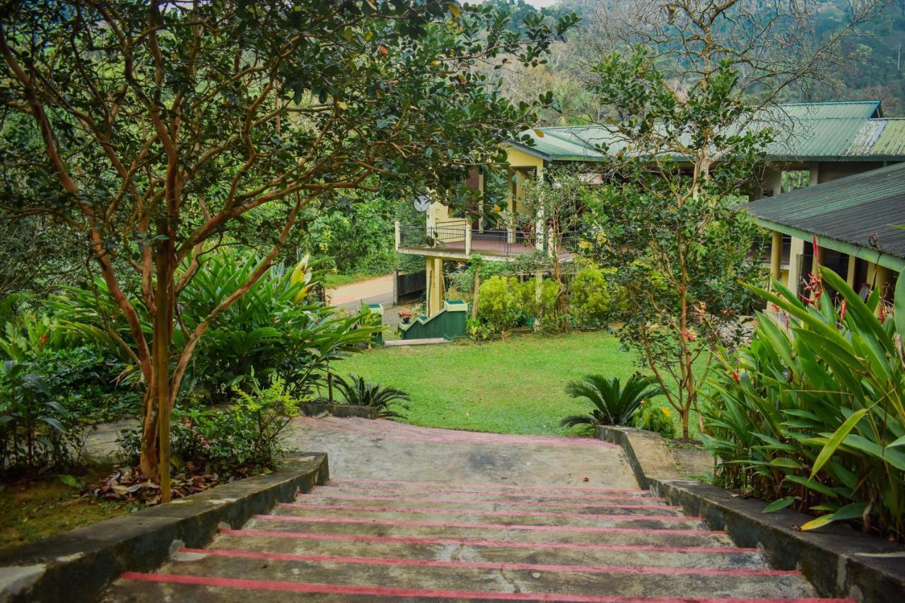 Blue Magpie Lodge Sinharaja Kudawe Exterior foto